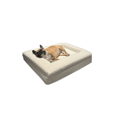 Pet Supplies