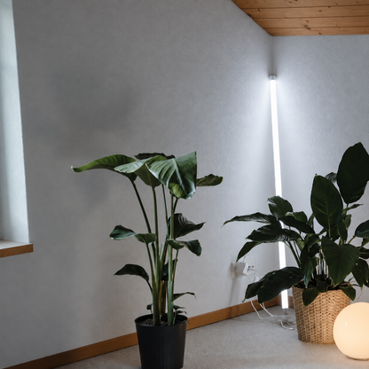 Neon Tube Floor Lamp
