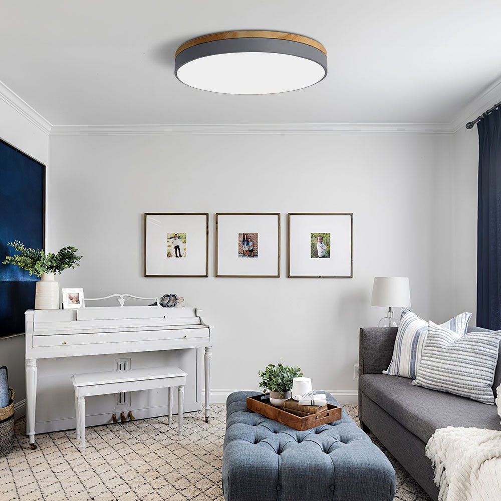 Round Ceiling Light | Slim Flush Mount For Living Room Bedroom Kitchen