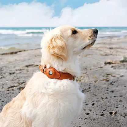 Smart Tracker Dog Collar | Adjustable Waterproof for Pet Safety
