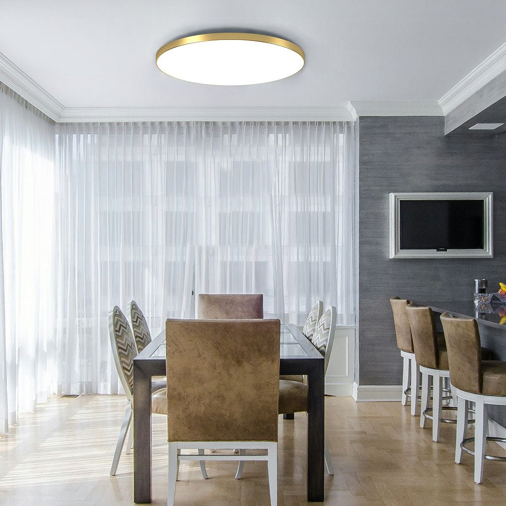 Minimalist Round LED Flush Mount Ceiling Light Slim Disc Hero