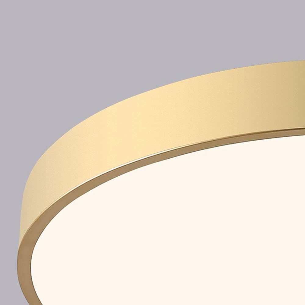 Modern Round LED Flush Ceiling Light Flat Disk View 30