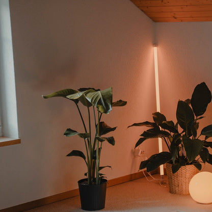 Neon Tube Floor Lamp Hero