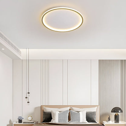 Nordic Style Disc LED Ceiling Lighting View 30