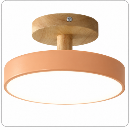 Modern Iron Ceiling Light Round Drum Shade